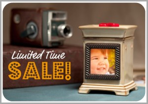 Scentsy Product Sale