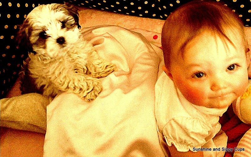 Baby and Puppy