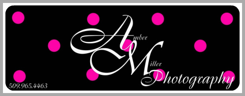 Amber Miller Photography Logo