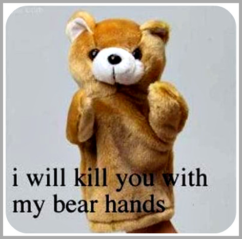 Funny Bear Hands