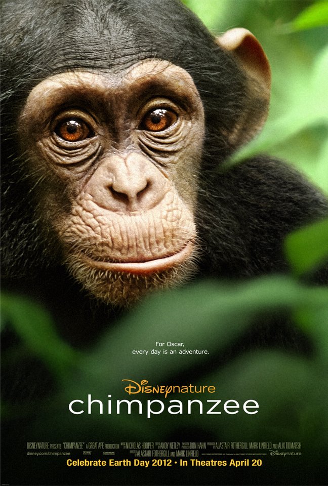 Chimpanzee by Disney