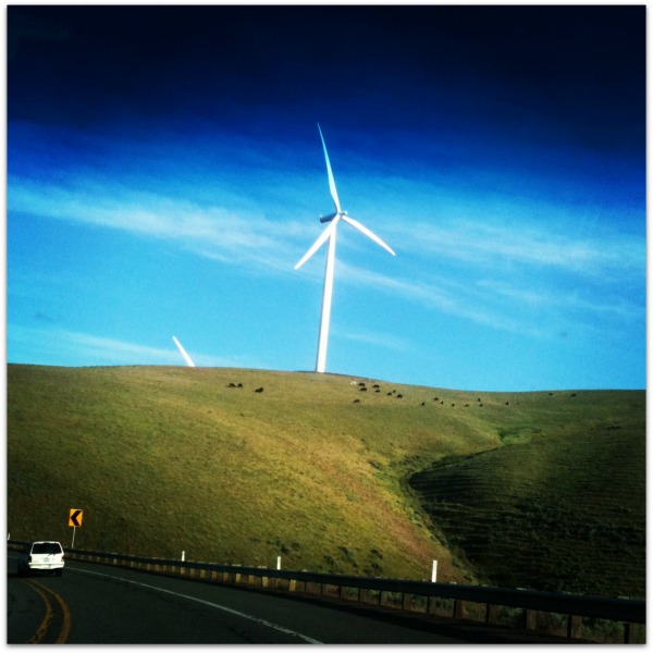 clean energy windmills