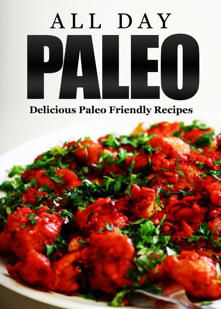 Everyday Paleo recipes