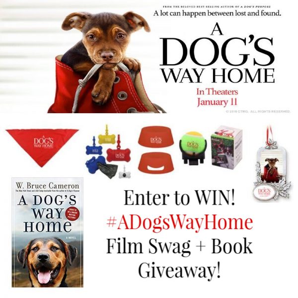 Win A Dog's Way Home Movie Swag and Book!